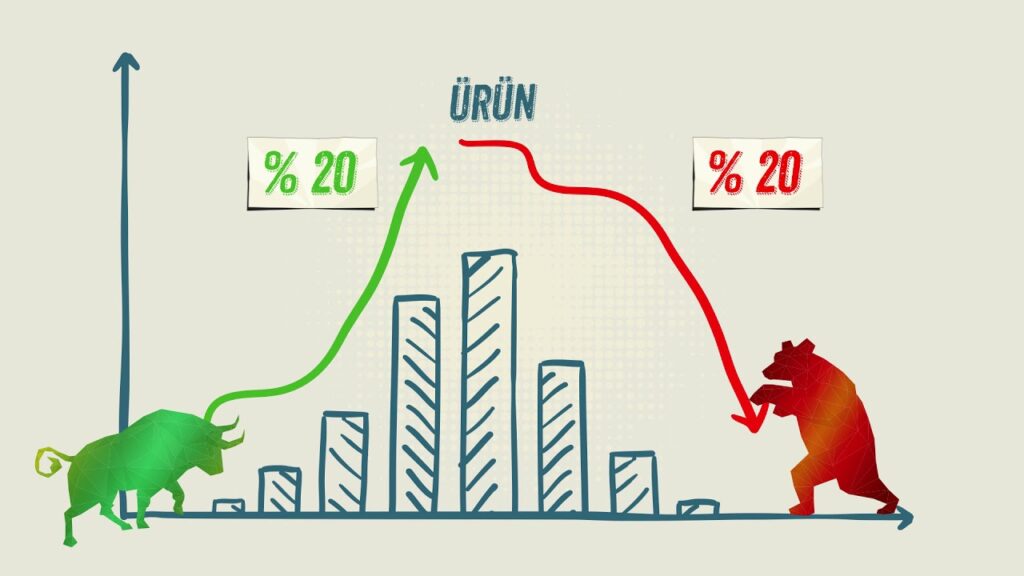 Boğa Piyasası Nedir?