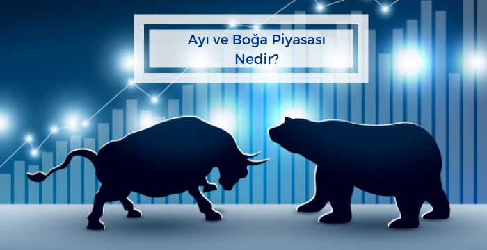 Boğa Piyasası Nedir?