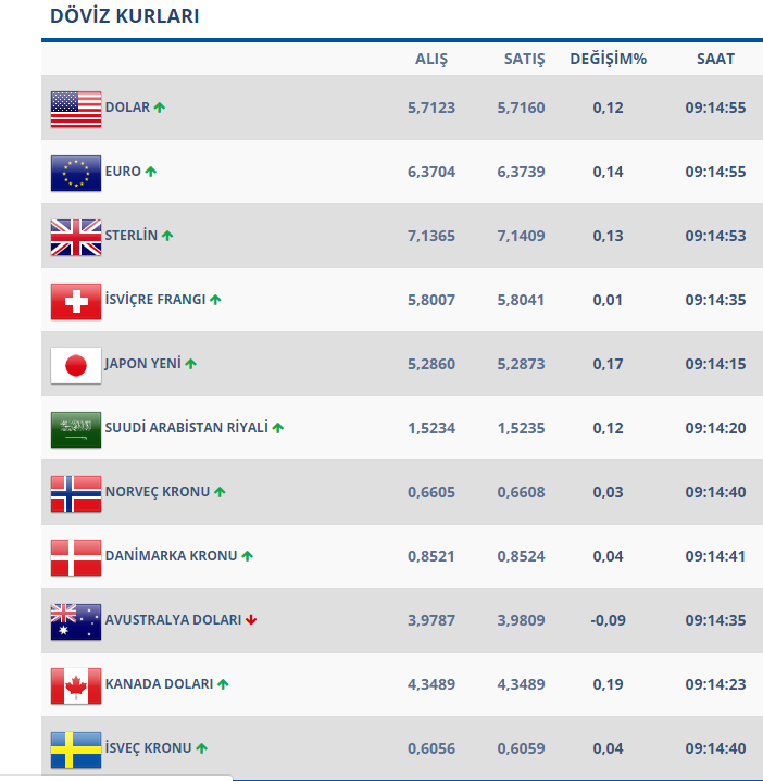 Döviz Kurları