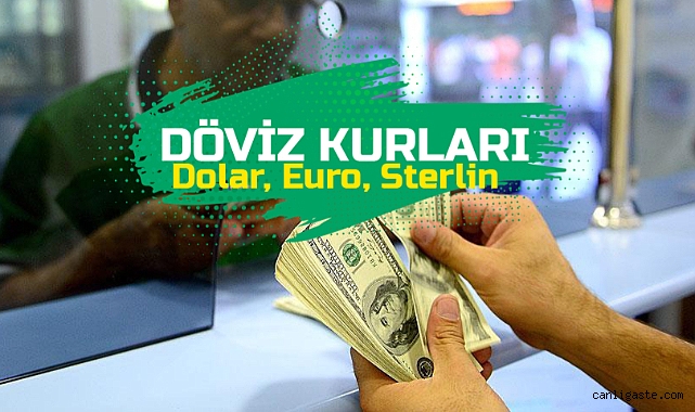 Döviz Kurları ve Yatırım