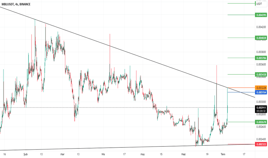 Hisse Senedi Piyasasında MBL Yatırımı